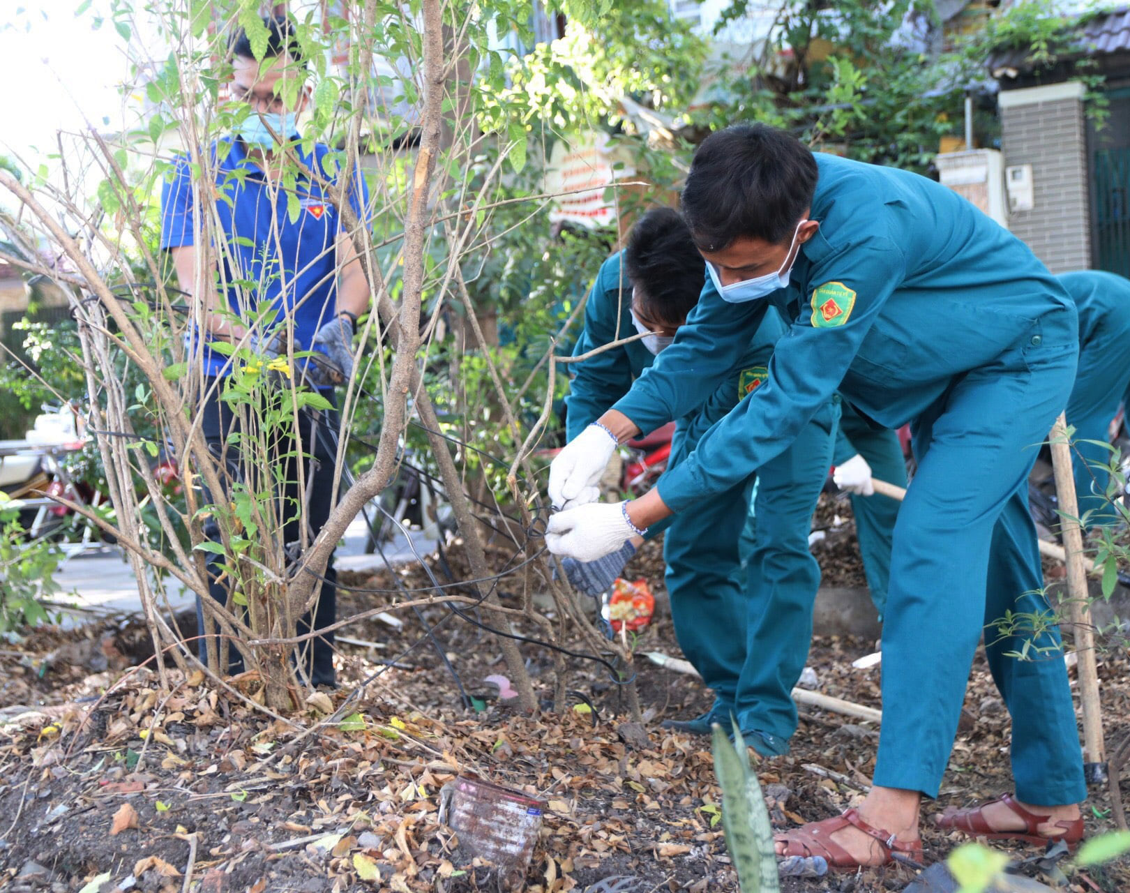 Thêm sáng đẹp từ bàn tay tuổi trẻ 